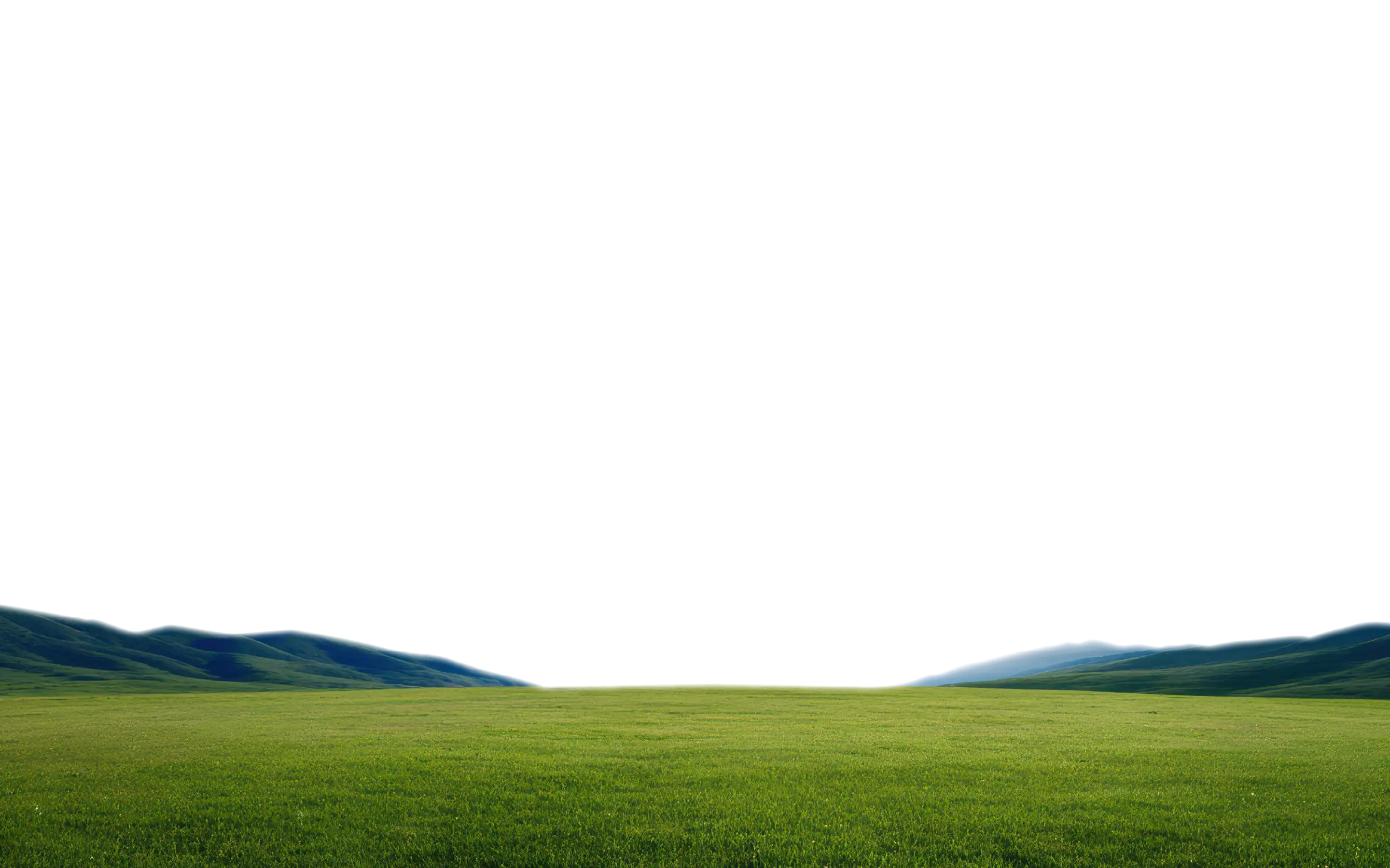 Green Landscape